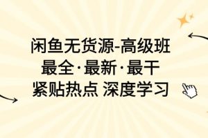 闲鱼无货源-高级班，最全·最新·最干，紧贴热点 深度学习
