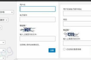 WordPress表单验证码插件-Captcha Code汉化版