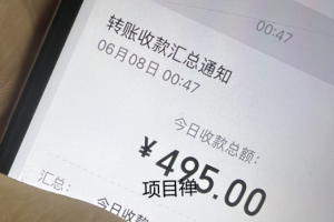 小红书搭子项目玩法拆解