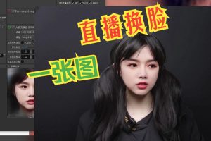 AI直播换脸教程，一张图也能直播换脸？AI直播换脸，换脸教程，deepfacelive ai教学 换脸教学