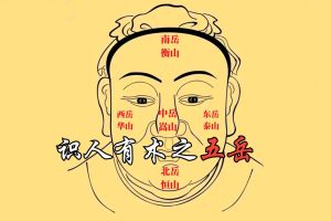 义德天成面相识人术8集