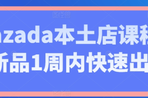 Lazada本土店课程 新品1周内快速出单