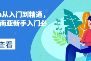 lazada从入门到精通 跨境东南亚新手入门必修课