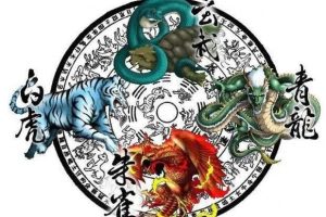 四象风水《八卦四象风水、如何分辨户型坐向》高清彩色版808页