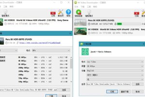 4K Video Downloader v4.31.0.0092/4K视频下载器/油管高清视频下载利器