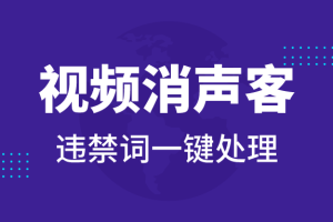 高端精品】外面卖188的视频消声客软件，一键检测并处理掉这些违禁词和敏感词的工具【处理软件+使用教程】