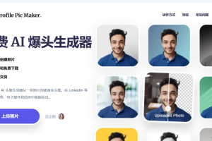 1款AI头像设计工具——PFPMaker