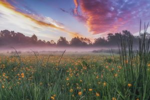 给兄弟们的一些建议