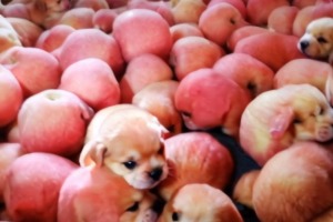 看懂了，今年狂赚6位数