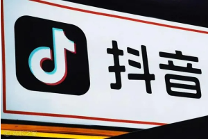 抖音变现逆袭课：从0到1打造IP，精准定位+高效起号，收入倍增