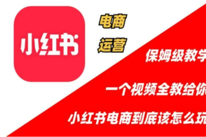 小红书电商运营宝典：从开店入驻到选品优化，一站式解决你的电商难题