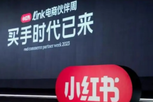 小 红 书 买手实战课：从零起步，掌握选品技巧，打造职业博主变现之路