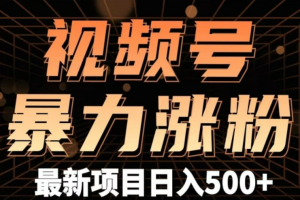 视频号涨粉方法暴力起号一天涨粉1000