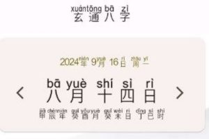 玄通八字 专业的八字算命软件