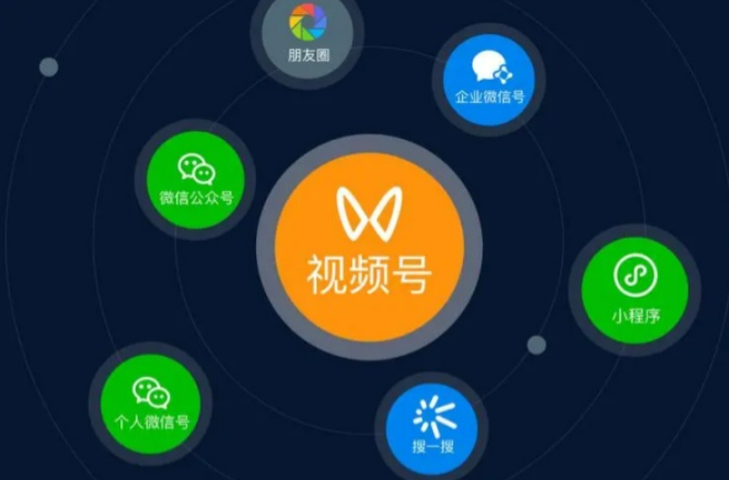 视频号运营宝典