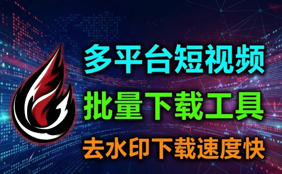 一款各大视频平台视频下载工具，支持批量下载，速度飞快